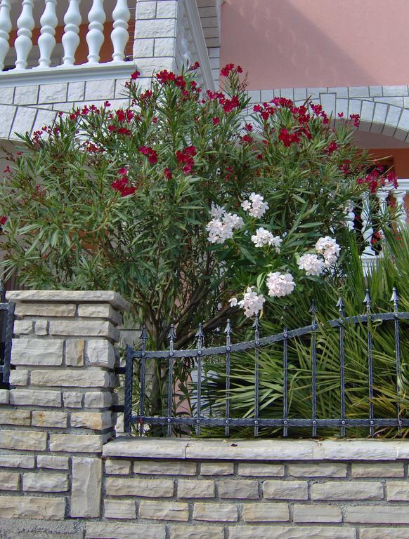 Apartments Tonimir Vodice Extérieur photo